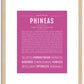 Phineas | Name Art Print