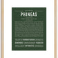 Phineas | Name Art Print