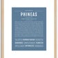 Phineas | Name Art Print