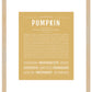 Pumpkin (female) | Name Art Print