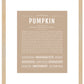 Pumpkin (female) | Name Art Print