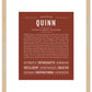 Quinn (female) | Name Art Print