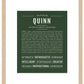 Quinn (female) | Name Art Print