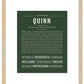 Quinn (female) | Name Art Print