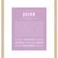 Quinn (female) | Name Art Print