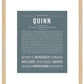 Quinn (female) | Name Art Print