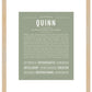 Quinn (female) | Name Art Print