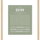 Quinn (female) | Name Art Print