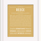 Reece (female) | Name Art Print