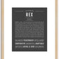 Rex | Name Art Print