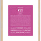 Rex | Name Art Print