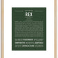 Rex | Name Art Print