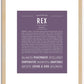 Rex | Name Art Print