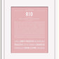 Frame Options | Dusty Rose | White Frame, Matted