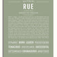 Frame Options | Sage | White Frame, Matted
