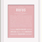 Frame Options | Dusty Rose | White Frame, Matted