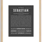 Sebastian | Name Art Print