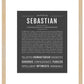 Sebastian | Name Art Print