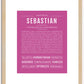 Sebastian | Name Art Print