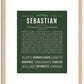 Sebastian | Name Art Print