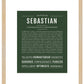 Sebastian | Name Art Print