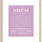 Sebastian | Name Art Print