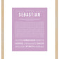 Sebastian | Name Art Print