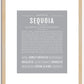 Sequoia (female) | Name Art Print