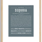 Sequoia (female) | Name Art Print