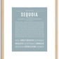 Sequoia (female) | Name Art Print