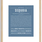 Sequoia (male) | Name Art Print