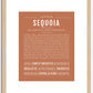 Sequoia (female) | Name Art Print