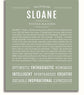 Sloane Feather Mini Skirt