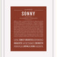 Frame Options | Bordeaux | White Frame, Matted