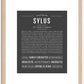 Sylus | Name Art Print