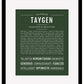 Taygen | Name Art Print