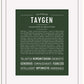 Taygen | Name Art Print