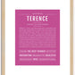 Terence | Name Art Print