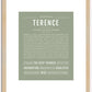 Terence | Name Art Print