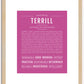 Terrill | Name Art Print