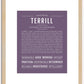 Terrill | Name Art Print