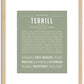 Terrill | Name Art Print