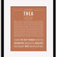 Frame Options | Terra Cotta | Black Frame, Matted