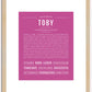 Toby | Name Art Print