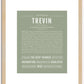 Trevin | Name Art Print