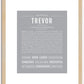 Trevor | Name Art Print