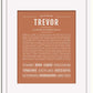 Frame Options | Terra Cotta | White Frame, Matted