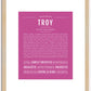 Troy | Name Art Print