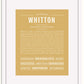 Frame Options | Matte Gold | White Frame, Matted