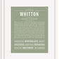 Frame Options | Sage | White Frame, Matted